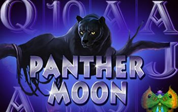 Panther Moon